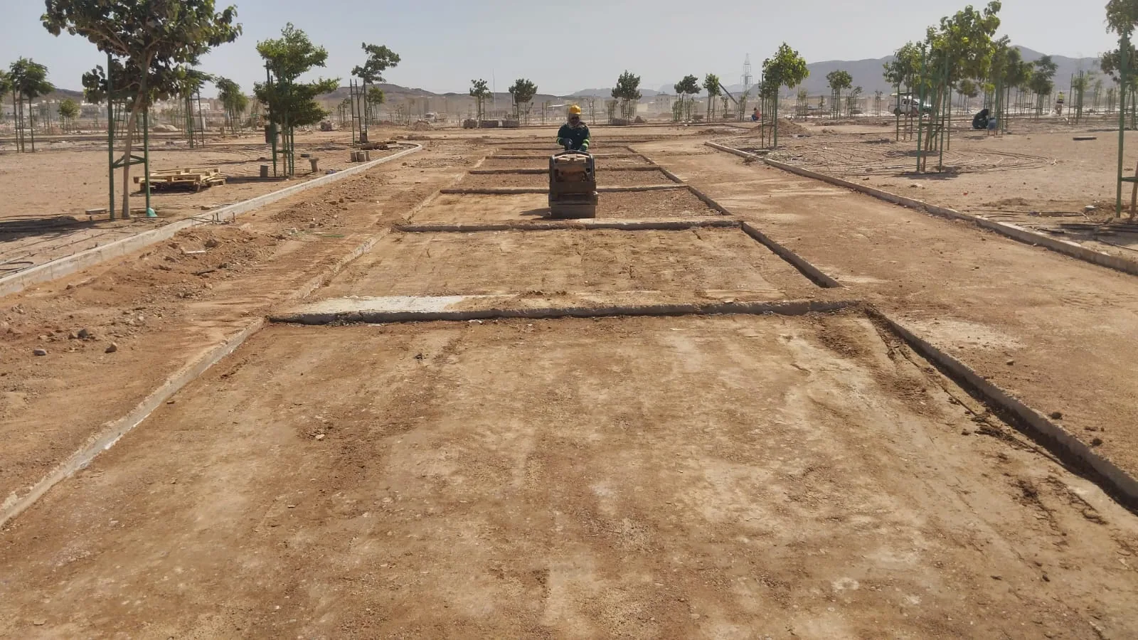 Irrigation lines preparation