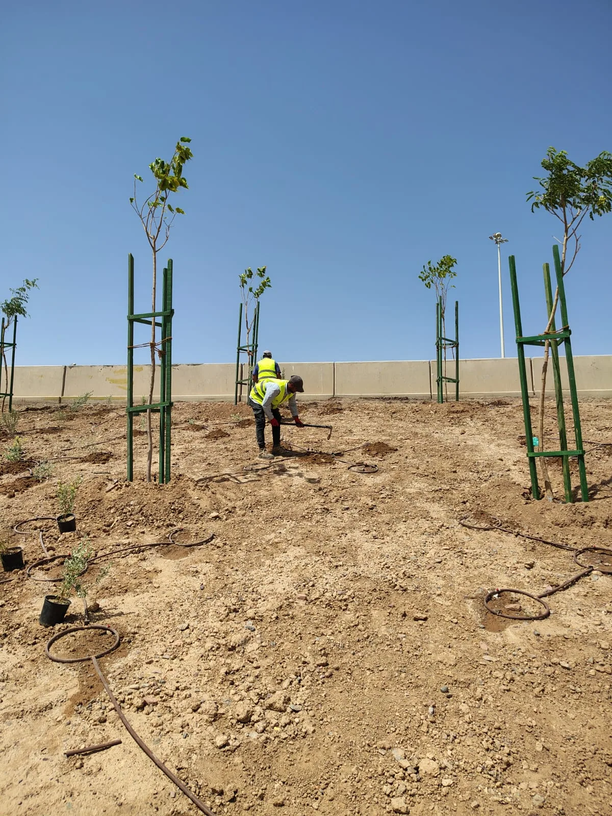 Planting works